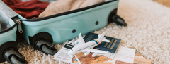 Elevating Your Organization: Our Favorite Truffle Companions